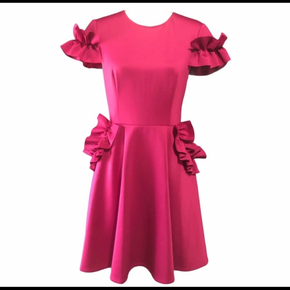 Ted Baker ruffle dress. Size 3(8). New!